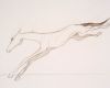Springend paard 30x42 cm 2007
