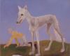 Poolwolf 120x140 cm 2009