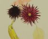 Bloemenslinger met banaan 50x65 cm 2015