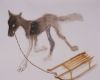 Wolf met slee 125x145 cm 2008